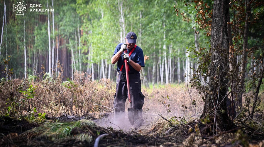 https://uimg.pravda.com.ua/buckets/upstatic/images/doc/5/7/869091/5786fdc6275634d8bbf9aff8a8baaf56.jpeg?w=900&q=90&f=webp