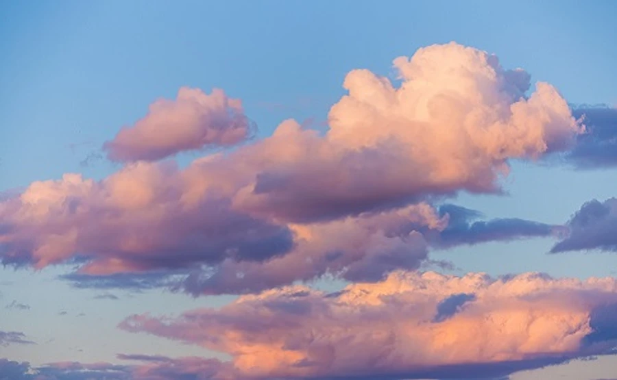 Синоптики розповіли, якою буде погода у Міжнародний день боротьби за права жінок