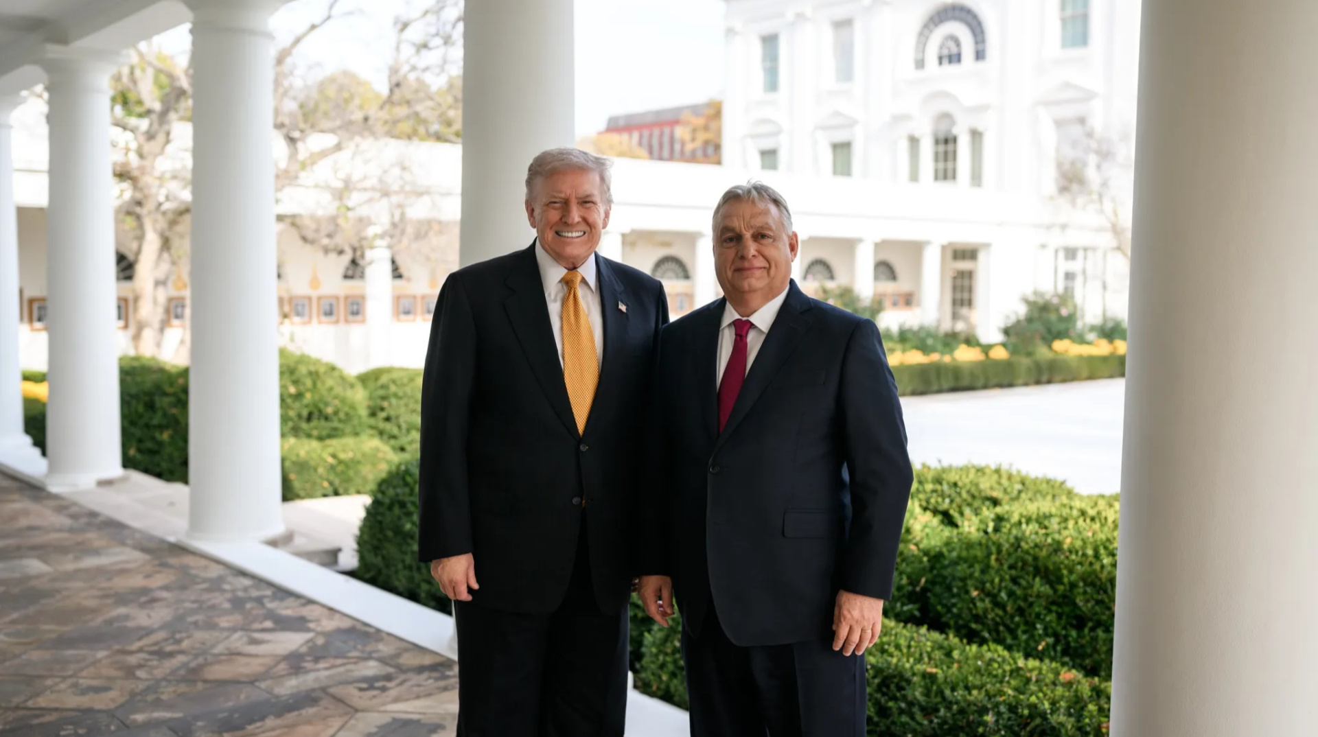 Трамп обіцяє 