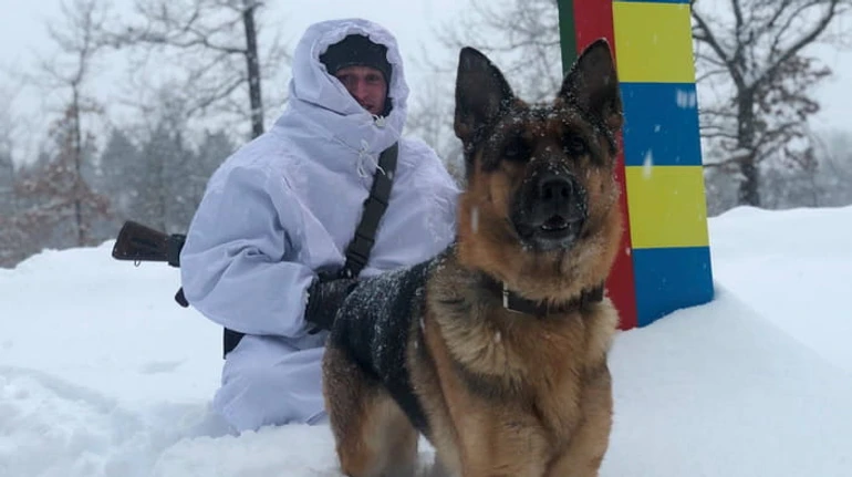 Поразки та перемоги українського кордону: ключові результати 2021 року