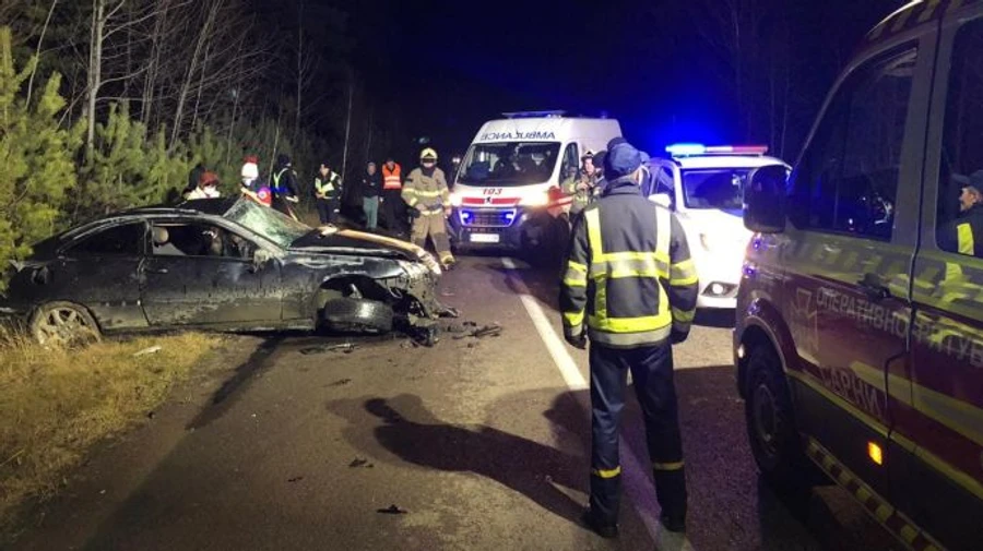 Лось спричинив ДТП на Рівненщині і став його жертвою