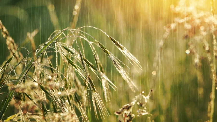 В Україні прогнозують дощі, місцями значні   