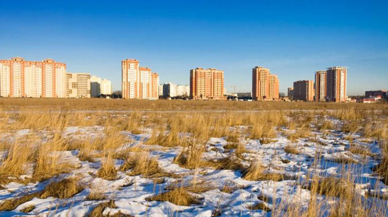 Чи була зима аномально теплою та які наслідки це мало для врожаю