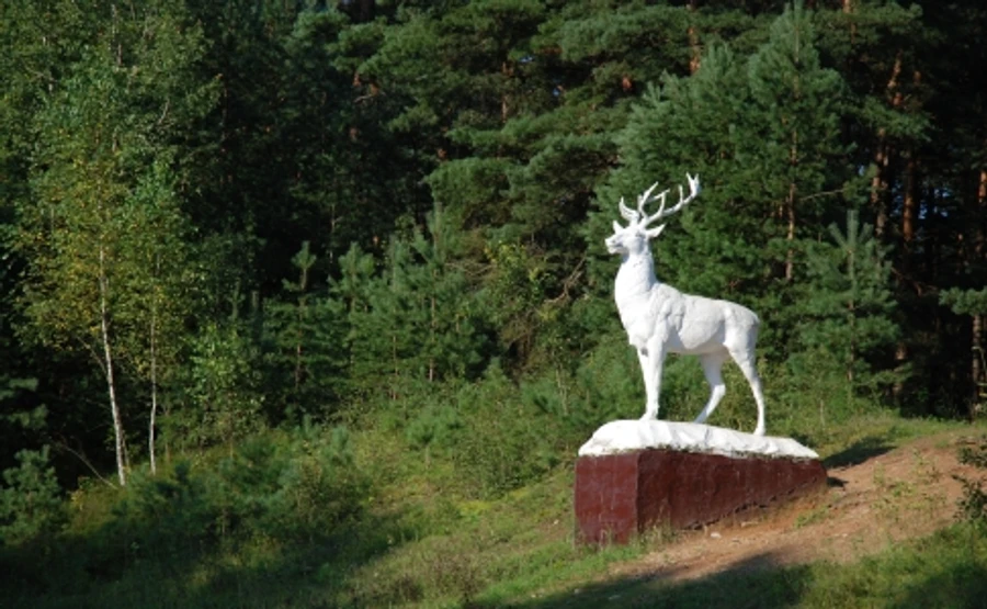 Суд ЄС: Польща порушила закони Євросоюзу, вирубуючи Біловезьку пущу