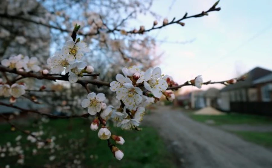 На Пасху украинцам обещают до +16° и без дождя