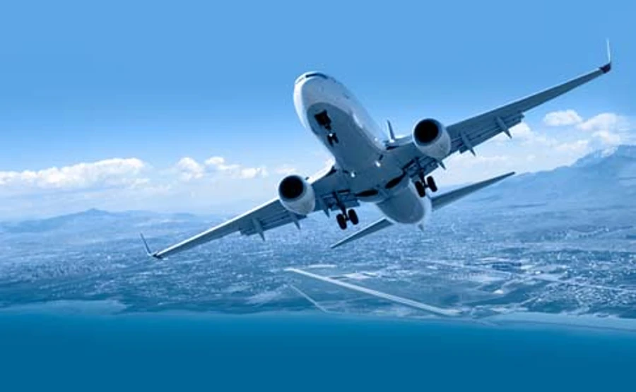 Омелян пообещал инспектора Фреймут всем самолетам