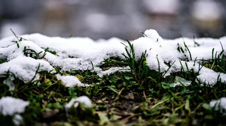 Сніг, дощ і невелике потепління – прогноз на найближчі дні