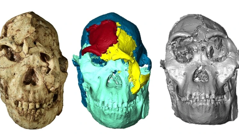 Вчені реконструювали обличчя предка людини, який жив 3,7 мільйона років тому