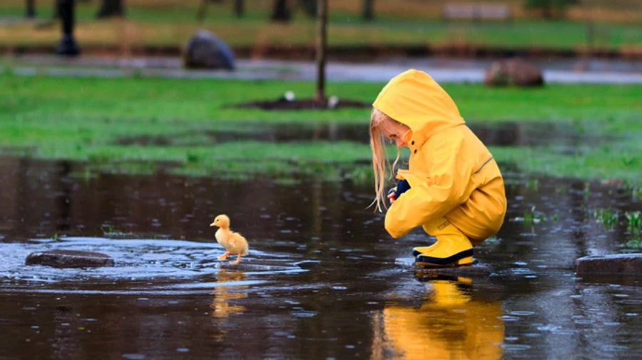 Травень у Києві виявився рекордно холодним та дощовим
