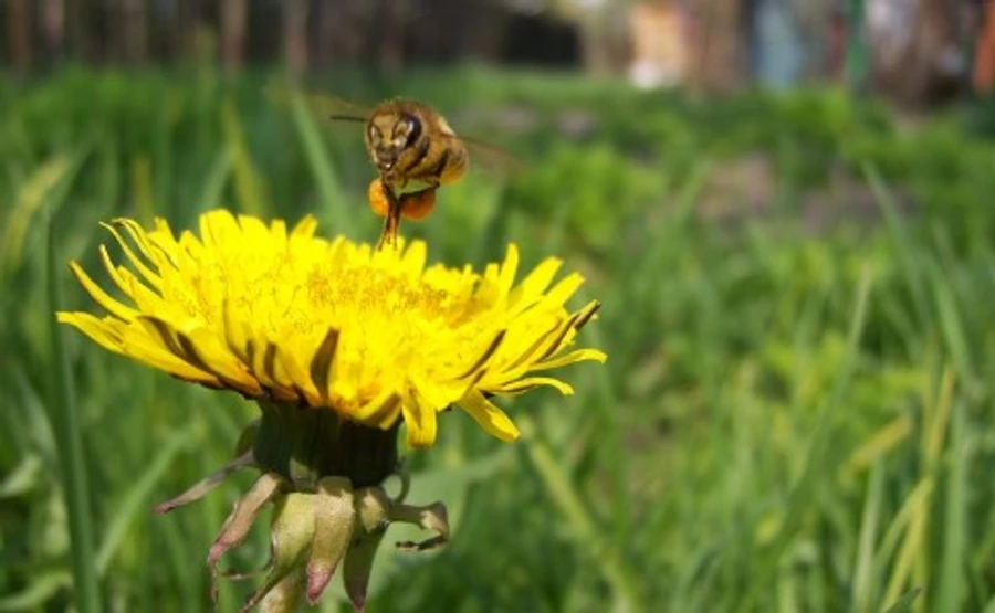 В Україну йде потепління