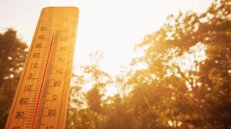К 2050 году количество людей, которые будут жить в условиях экстремальной жары, возрастет вдвое – ученые