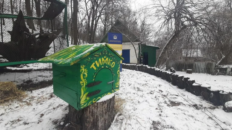 Коли в Україну завітає весна? Бабак Тимко дав традиційний прогноз