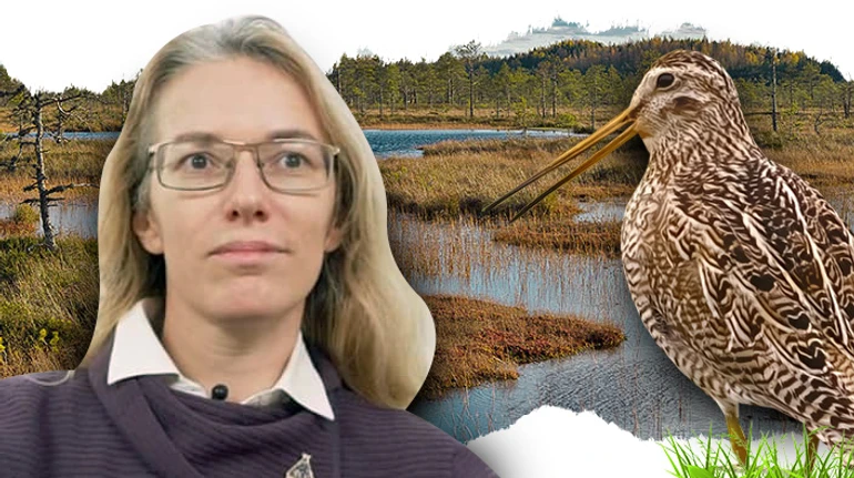 Полетная зона. Как война влияет на птиц и почему сегодня их стоит охранять лучше