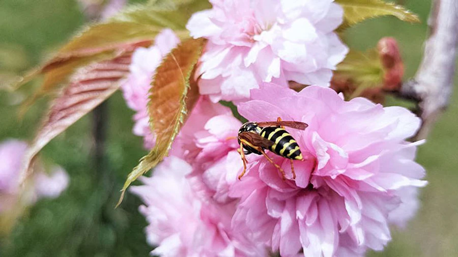 Синоптики рассказали, какой погоды ждать в мае 