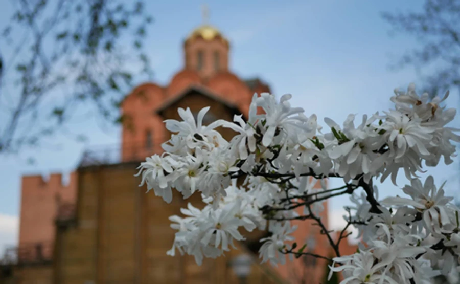 ДСНС попереджає про заморозки, але загалом буде тепло