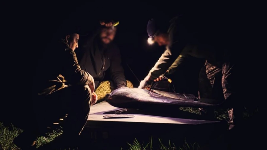 РФ атакувала Київщину БПЛА, крилатими та балістичними ракетами