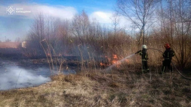 Двоє людей загинули під час спалювання трави на Київщині