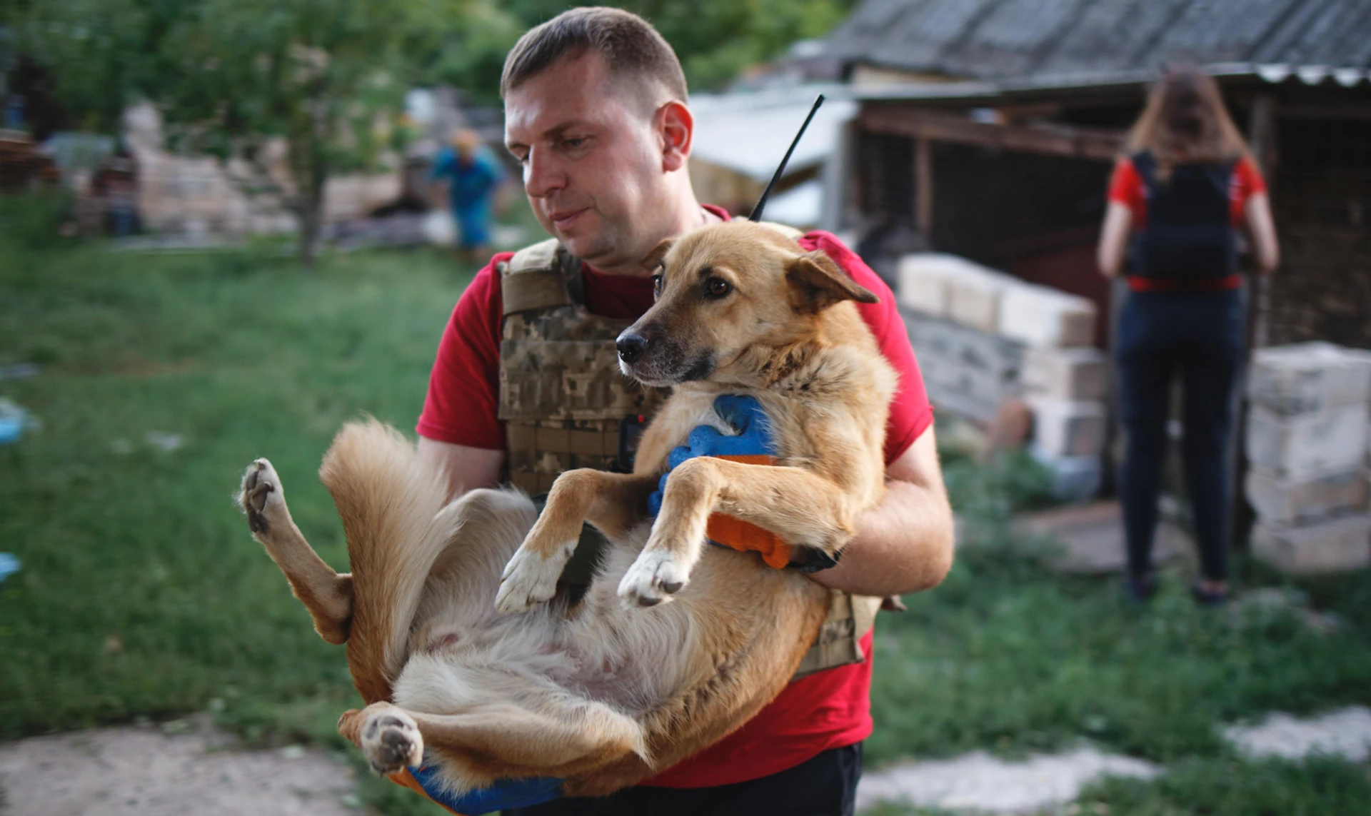 Подалі від війни. Як волонтери вивозять тварин із Бахмута