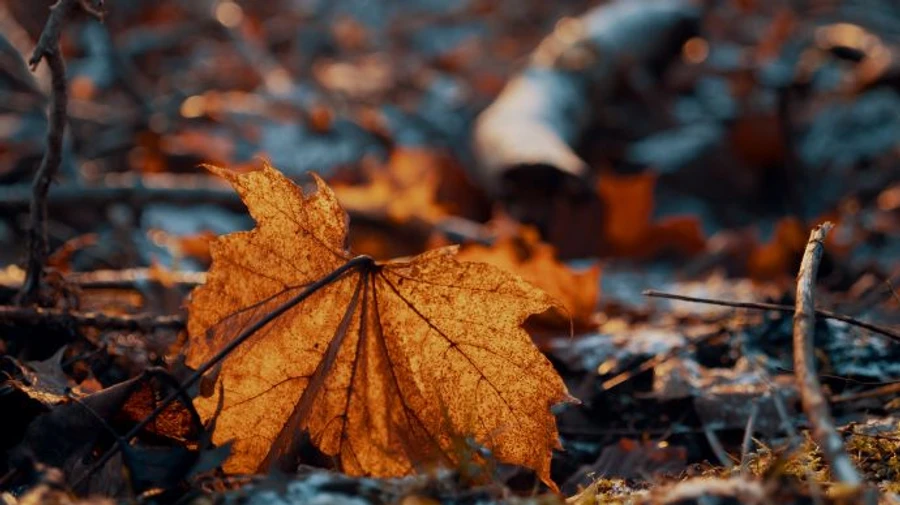 Украинцам обещают дневно-ночные температурные качели