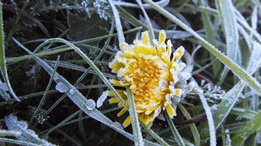 У понеділок буде прохолодно, вночі морози