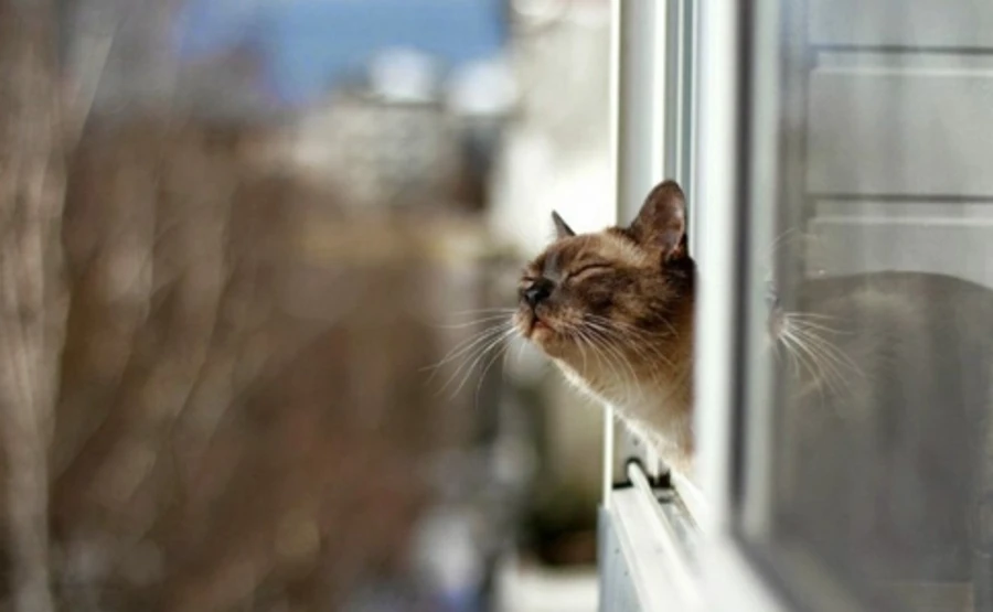 Погода на вихідні: сухо і незвично тепло