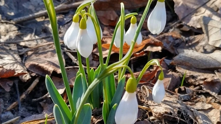 В пятницу по Украине ожидаются дожди, в субботу сухо и +20