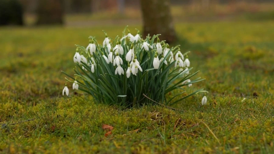 Погода на понедельник: от 3° мороза до 15° тепла, на западе небольшой дождь