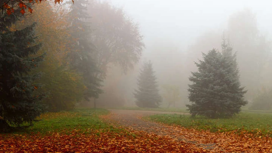 В Украине будет сухо, но прохладно и возможны заморозки