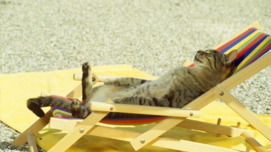 У Києві відкрили пляжі