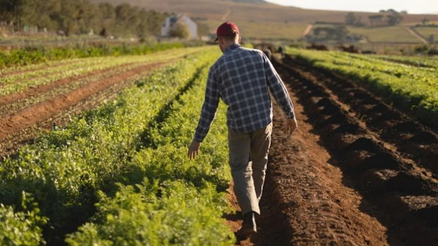 Зеленський підписав указ про День фермера