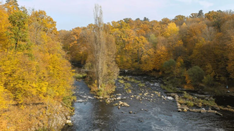Де зловити дзен і побачити золоту осінь? Топ-19 локацій у лісах України