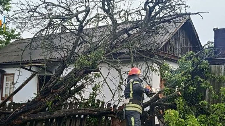 Негода в Україні: двоє людей загинули, повалено дерева, підтоплено будинки