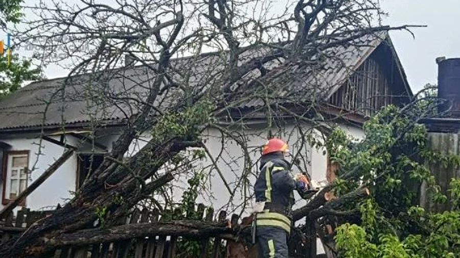 Негода в Україні: двоє людей загинули, повалено дерева, підтоплено будинки