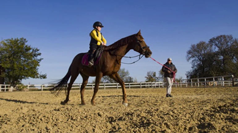 5 историй с востока, которые вас удивят: краудфандинг ради лошадей, велопенсия и поместье меннонитов