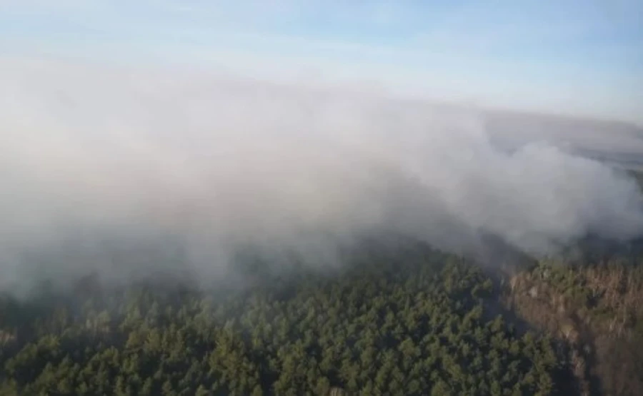 Буря раздула огонь в зоне ЧАЭС. Пожарные говорят, все под контролем