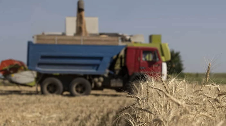Торгівля вільна, але не до кінця: що зміниться для українського агроекспорту до ЄС