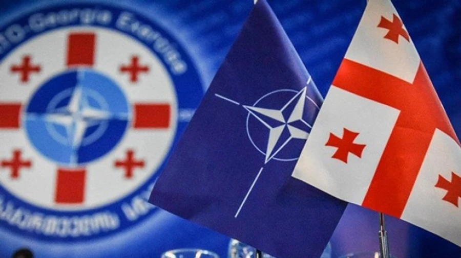 Парламент Грузии проголосовал за безальтернативность интеграции в ЕС и НАТО