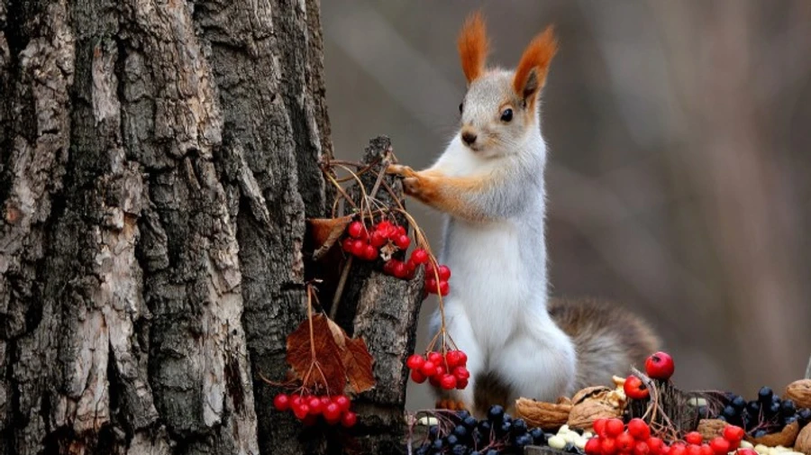 В ближайшие дни похолодания не будет – синоптики