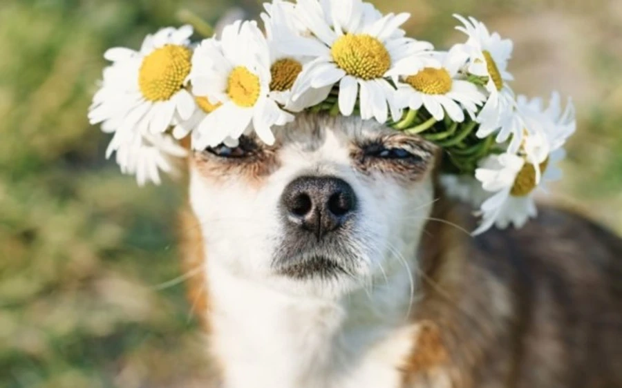 Синоптик розповіла, коли нарешті потеплішає