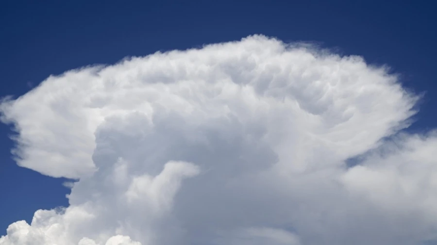 Спека йде з України