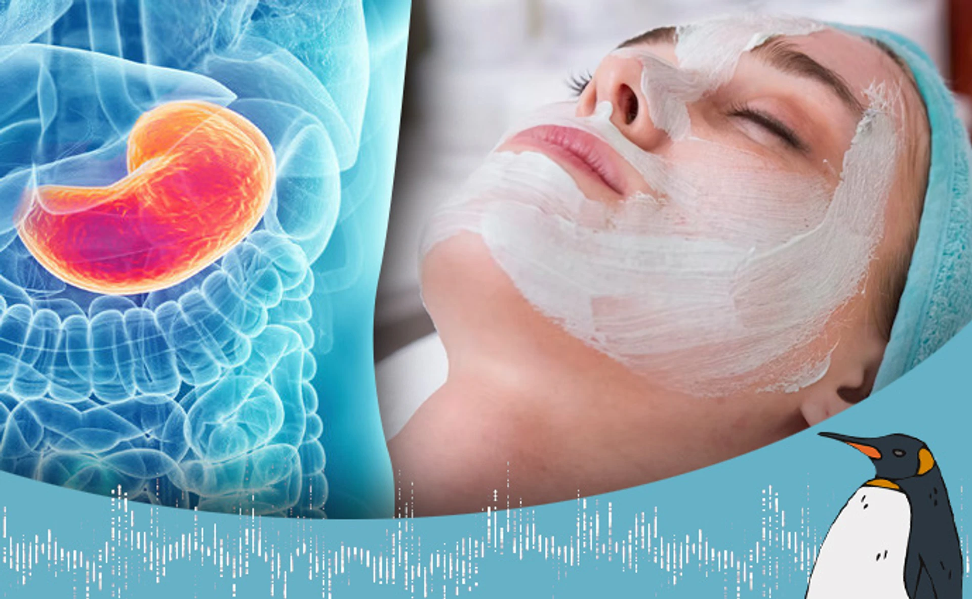 Влияет ли на состояние кожи состояние нашего желудка? И если да, то как?