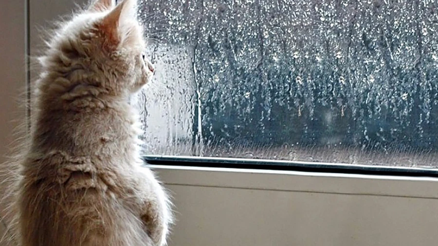 В Україну йде похолодання і дощі