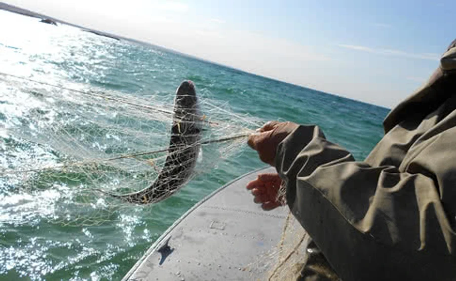 В Крыму против капитана украинского рыболовецкого судна возбудили дело 