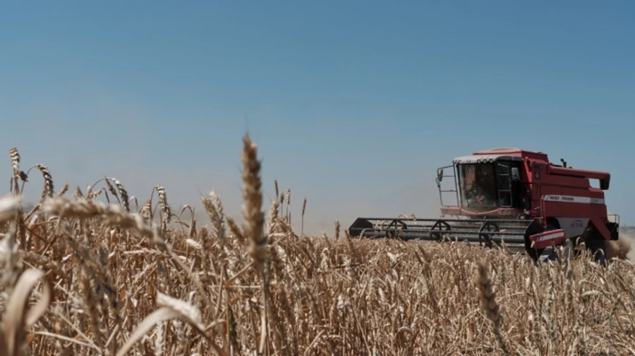 UK to help Ukraine track grain stolen by Russia from occupied territories