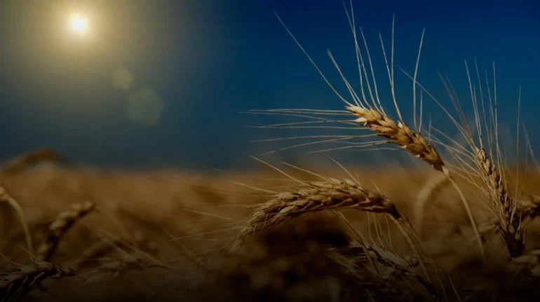 Що ви знаєте про Україну? Пройдіть ТЕСТ до 33-річчя Незалежності