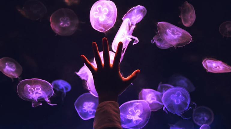 Победить смерть. Благодаря каким новейшим технологиям человек будет жить вечно?