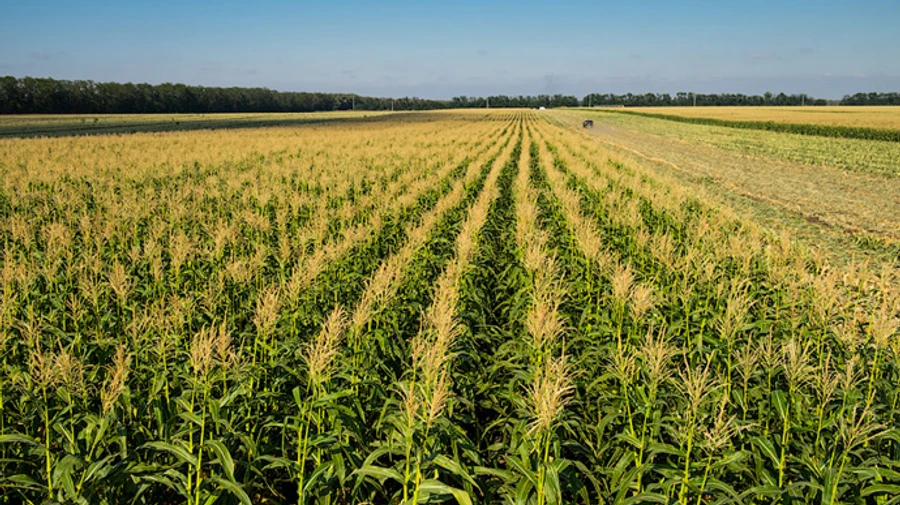 Полтавського викрадача шукають четверту добу