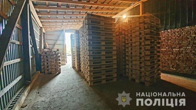 На Прикарпатье провели 14 обысков из-за незаконной вырубки леса