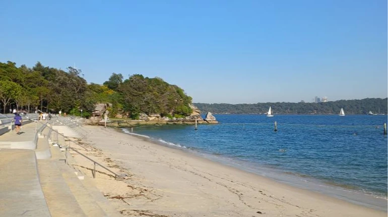 В Австралії акула напала на 12-річного хлопчика: сітка для захисту могла не спрацювати