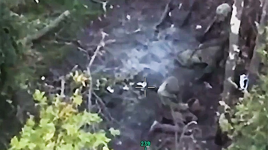 ГВ Юг: Россияне казнили украинских военных в Запорожской области
